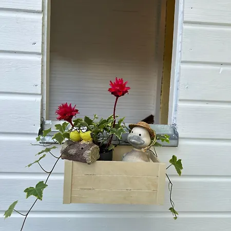 ゲストハウス The Peaceful Garden & Free Parking 4*