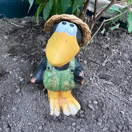 Pensionat The Peaceful Garden & Free Parking