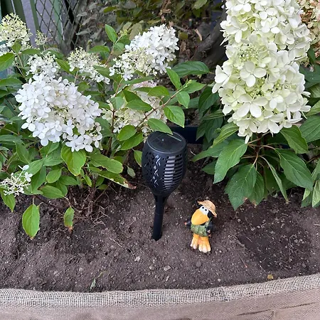 The Peaceful Garden & Free Parking ゲストハウス